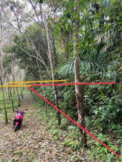 Beautiful island for sale 6 Rais with Chanote Offered land for sale an island near tourist attractions, Phang Nga Sea view-202503061120391741234839220.jpg