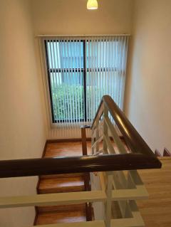 ให้เช่าบ้านเดี่ยว โครงการ บลูลากูน 2 บางนา-วงแหวน พท.51.6 ตร.ว.-202503071205281741323928871.jpg