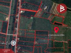 ขายที่ดิน เนื้อที่ 79 ไร่ 1 งาน 84.4 ตร.วา ทุ่งคา ชุมพร-202503071513451741335225886.jpg