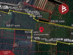 ขายที่ดิน เนื้อที่ 79 ไร่ 1 งาน 84.4 ตร.วา ทุ่งคา ชุมพร-202503071513461741335226547.jpg