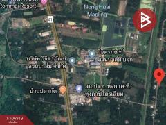 ขายที่ดิน เนื้อที่ 79 ไร่ 1 งาน 84.4 ตร.วา ทุ่งคา ชุมพร-202503071513471741335227177.jpg