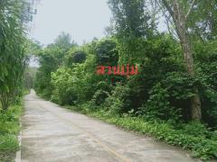 ขายที่ดินบนเกาะ พังงา วิวสวย บรรยากาศดีมากๆ โฉนด -202503071539331741336773579.jpg