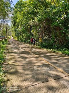  sale an island near tourist attractions, Phang Nga -202503071541581741336918150.jpg