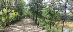ขายที่ดิน 19 ไร่ โคกกลาง ประทาย นครราชสีมา ใกล้เขื่อนธรรมจักร ลำน้ำสะแทก ขายถูกมาก-202503071613431741338823421.jpg