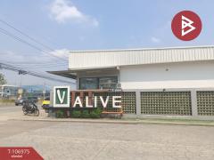 ขายบ้านแฝด หมู่บ้านวี-อไลฟ์ ลำลูกกา คลอง8 (V-Alive Lumlukka Klong8) ปทุมธานี-202503071623391741339419427.jpg