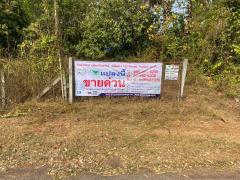 ขายที่ดินสวนยางพารา 37-2-80 ไร่ (รวม 5 แปลง) ต.นาพู่   อ.เพ็ญ   จ.อุดรธานี  