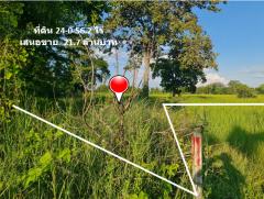 ขาย ที่ดิน ติดถนนมิตรภาพ กม.212-200 ใกล้โครงการพืชสวนโลกปี 72 อ.คง จ.นครราชสีมา เนื้อที่ 24 ไร่ 56.2 ตรว บ้านหนองบัวโคก ฟรีโอน-202503081213011741410781386.jpg