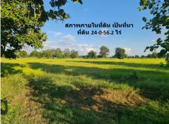 ขาย ที่ดิน ติดถนนมิตรภาพ กม.212-200 ใกล้โครงการพืชสวนโลกปี 72 อ.คง จ.นครราชสีมา เนื้อที่ 24 ไร่ 56.2 ตรว บ้านหนองบัวโคก ฟรีโอน-202503081213021741410782062.jpg