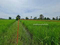 ขาย ที่ดิน ติดถนนสาย อ.คง-ประทาย ทล.207 อ.คง จ.นครราชสีมา 20 ไร่ 1 งาน 78 ตรว ใกล้พื้นที่ก่อสร้างโครงการพืชสวนโลก ปี 2572-202503081225411741411541118.jpg