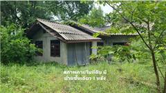 ขาย ที่ดิน ติดถนนเจนจบทิศ ทล.207 บ้านกระถิน กม.4 เนื้อที่ 23 ไร่ 3 งาน 26 ตรว ผังเมืองพื้นที่สีเขียว-202503081236491741412209530.jpg