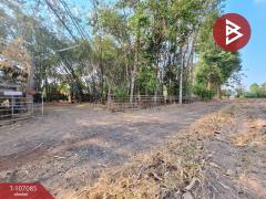  ขายบ้านเดี่ยวพร้อมที่ดิน เนื้อที่ 5 ไร่ บรบือ มหาสารคาม-202503091620131741512013289.jpg