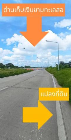 ขายที่ดินตำบลสี่มุมอำเภอเมืองนครราชสีมาติดถนนเลียบมอเตอร์เวย์บางปะอินนครราชสีมา-202503091701031741514463172.jpg
