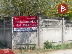 ขายที่ดินเปล่า เนื้อที่ 3 งาน 55.6 ตารางวา ในเมือง ลำพูน-202503092258221741535902476.jpg