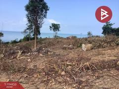 ขายที่ดิน เนื้อที่ 19 ไร่ 3 งาน 56 ตร.วา คลองใหญ่ ตราด-202503101215011741583701956.jpg