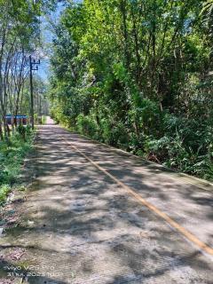 an island near tourist attractions,AO  Phang Nga 