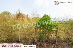 FN-733636 ที่ดินพร้อมบ้านเดี่ยวเมืองเพชรบูรณ์ 383.1 ตร.ว. ใกล้ทางขึ้นเขาค้อ-202503111403171741676597613.jpg