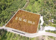 ขายที่ดิน ซอยบางกร่าง 45 บางกร่าง นนทบุรี-202503111744281741689868694.jpg