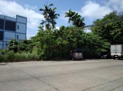 ขาย ที่ดิน สาธุประดิษฐ์ 49 ขนาด 128 ตรว ใกล้ถ.ยานนาวาแค่ 450 ม. CC-202503112256351741708595428.jpg