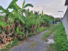 ขายด่วน ที่ดินเปล่า 240 ตร.ว. ( ซ.ประชาอุทิศ54 )-202503121101291741752089432.jpg