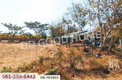 FN-793903 ที่ดินพร้อมบ้านเดี่ยวชัยบาดาล 2 ไร่ 77 ตร.ว. ลพบุรี ใกล้วัดพุ่มเพชรวนาราม-202503121223571741757037576.jpg