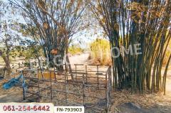 FN-793903 ที่ดินพร้อมบ้านเดี่ยวชัยบาดาล 2 ไร่ 77 ตร.ว. ลพบุรี ใกล้วัดพุ่มเพชรวนาราม-202503121223581741757038235.jpg