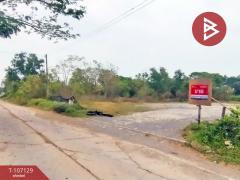 ขายที่ดินถมแล้ว เนื้อที่ 1 ไร่ 3 งาน 97.9 ตร.วา คลองหลวง ปทุมธานี-202503121230341741757434423.jpg