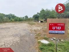 ขายที่ดินถมแล้ว เนื้อที่ 1 ไร่ 3 งาน 97.9 ตร.วา คลองหลวง ปทุมธานี-202503121230351741757435057.jpg