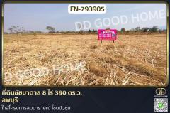 FN-793905 ที่ดินชัยบาดาล 8 ไร่ 390 ตร.ว. ลพบุรี ใกล้โครงการลมนารายณ์ โซนบัวชุม
