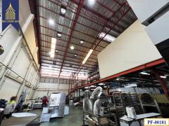 ขายโกดัง สำนักงาน ออฟฟิศ บางพลี เทพารักษ์ บางนา-202503121432141741764734620.jpg