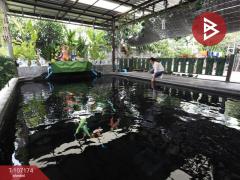 ขายโกดังพร้อมออฟฟิศ ถ.โยธาธิการ เนื้อที่ 1 ไร่ ปากเกร็ด นนทบุรี-202503121448391741765719614.jpg