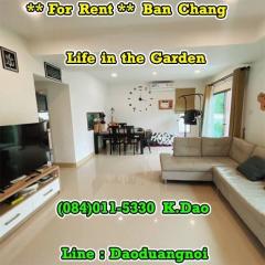 #Life in the garden, #BanChang *** Corner House for Rent ***-202503131029411741836581620.jpg