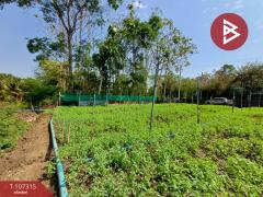 ขายที่ดินเปล่าด่วน เนื้อที่ 99 ตร.วา ดำเนินสะดวก ราชบุรี-202503131116071741839367860.jpg
