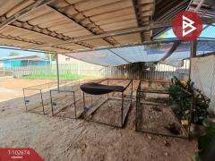 ขายที่ดินเปล่า ในหมู่บ้านเคียงเขต เนื้อที่ 1 งาน 95 ตร.วา หนองบัวศาลา นครราชสีมา-202503131447391741852059329.jpg