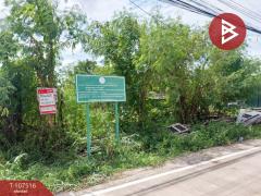 ขายที่ดินเปล่า เนื้อที่ 1 งาน 98 ตร.วา ซ.วัดลาดปลาดุก บางบัวทอง นนทบุรี-202503131637241741858644302.jpg