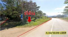 ขาย ที่ดิน เชียงใหม่ อ.เชียงดาว ติดถนนโชตนา 19-3-34 ตรว-202503132107351741874855335.jpg