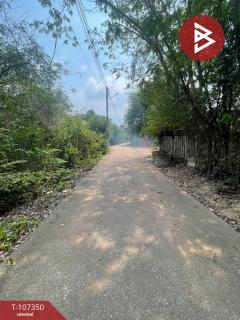 ขายที่ดินเปล่า 1 ไร่ 3 งาน 69 ตร.วา พนมสารคาม ฉะเชิงเทรา-202503141655081741946108064.jpg