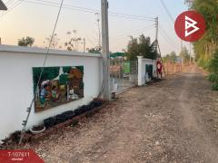 ขายบ้านเดี่ยวพร้อมที่ดิน เนื้อที่ 1 ไร่ 3 งาน 55.2 ตร.วา หลักเขต บุรีรัมย์-202503141722311741947751696.jpg