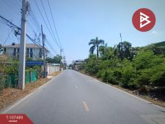 ขายที่ดินทำเลดีฯ เนื้อที่ 3 ไร่ 1 งาน 54 ตร.วา สามพราน นครปฐม-202503151136561742013416706.jpg