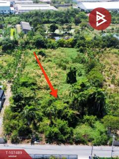 ขายที่ดินทำเลดีฯ เนื้อที่ 3 ไร่ 1 งาน 54 ตร.วา สามพราน นครปฐม-202503151136571742013417988.jpg