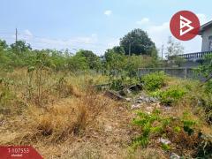 ขายที่ดินเปล่า-เนื้อที่-1-งาน-77.6-ตร.วา-