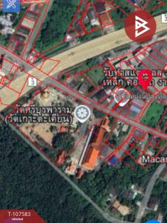 ขายที่ดินเปล่า เนื้อที่ 59.7 ตร.วา วังกระแจะ ตราด-202503151430381742023838244.jpg