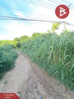 ขายที่ดิน เนื้อที่ 3 งาน 3 ตร.วา บางมัญ สิงห์บุรี-202503161558491742115529849.jpg