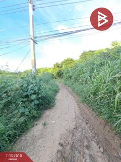 ขายที่ดิน เนื้อที่ 3 งาน 3 ตร.วา บางมัญ สิงห์บุรี-202503161558511742115531144.jpg