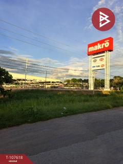 ขายที่ดิน เนื้อที่ 3 งาน 3 ตร.วา บางมัญ สิงห์บุรี-202503161558521742115532418.jpg