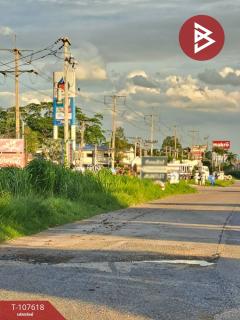 ขายที่ดิน เนื้อที่ 3 งาน 3 ตร.วา บางมัญ สิงห์บุรี-202503161558531742115533050.jpg