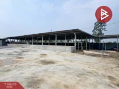 ขายบ้านเดี่ยว เนื้อที่ 3 งาน สนามแจ้ง บ้านหมี่ ลพบุรี-202503161633231742117603179.jpg