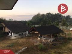 ขายบ้านเดี่ยวพร้อมที่ดิน เนื้อที่ 2 ไร่ 2 งาน 56 ตร.วา ขุนตาล เชียงราย-202503171252261742190746324.jpg
