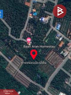 ขายที่ดินเปล่า เนื้อที่ 2 ไร่ 3 งาน 41 ตร.วา นางตะเคียน สมุทรสงคราม-202503171622531742203373109.jpg