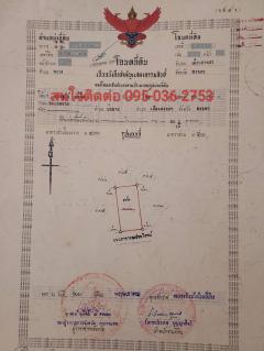 หาที่ดินปลูกบ้าน,เกษตร,เพื่ออยู่อาศัยใกล้เมืองสงขลา เดินทางสะดวก-202503181306581742278018428.jpg