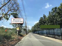 ขายที่ดิน 1 ไร่ ซอยพระแม่มหาการุณย์  27 ถนนติวานนท์  ปากเกร็ด นนทบุรี 098 7755 808-202503190829121742347752935.jpg